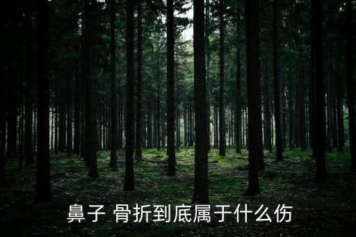  鼻子 骨折到底屬于什么傷