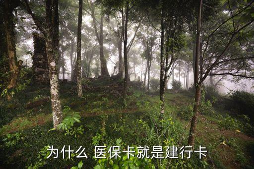 醫(yī)?？ㄊ倾y行卡嗎,急用錢套醫(yī)保卡