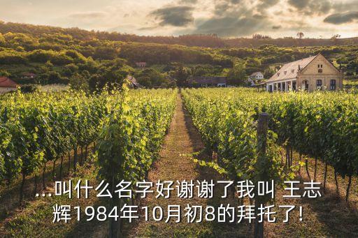 ...叫什么名字好謝謝了我叫 王志輝1984年10月初8的拜托了!