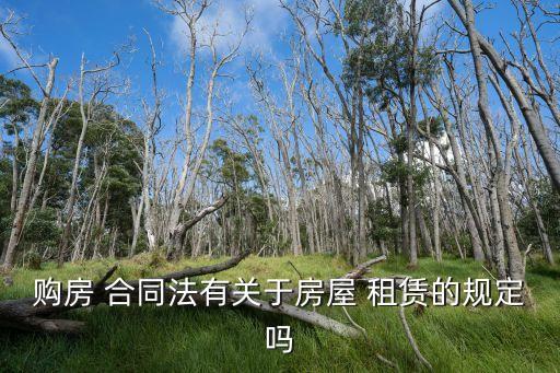 購(gòu)房 合同法有關(guān)于房屋 租賃的規(guī)定嗎