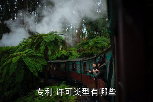 獨(dú)占許可,能否給個人商標(biāo)獨(dú)占許可
