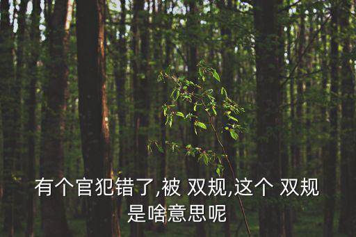 有個(gè)官犯錯(cuò)了,被 雙規(guī),這個(gè) 雙規(guī)是啥意思呢