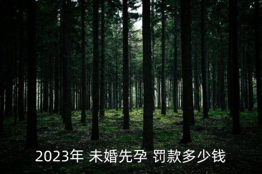 2023年 未婚先孕 罰款多少錢