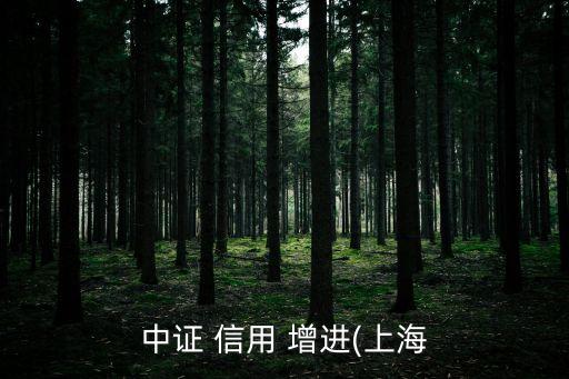 中證 信用 增進(jìn)(上海