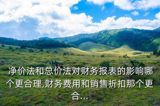  凈價(jià)法和總價(jià)法對財(cái)務(wù)報(bào)表的影響哪個(gè)更合理,財(cái)務(wù)費(fèi)用和銷售折扣那個(gè)更合...