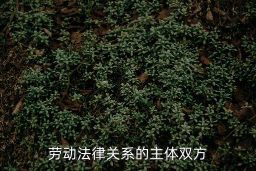 勞動(dòng)法律關(guān)系的主體雙方