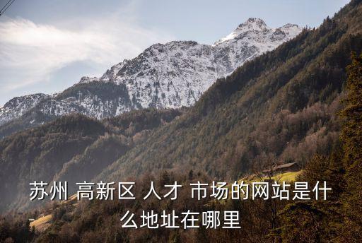 蘇州 高新區(qū) 人才 市場的網(wǎng)站是什么地址在哪里