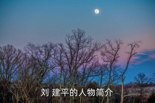 劉 建平的人物簡介
