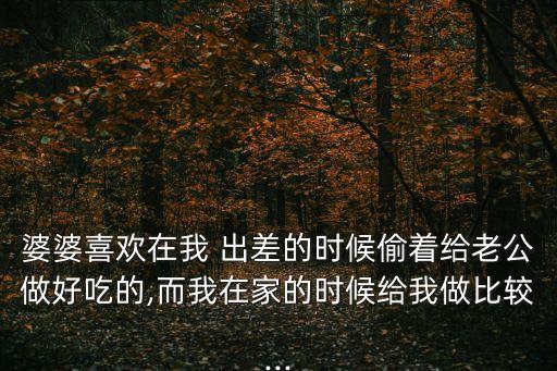 出差泡老婦