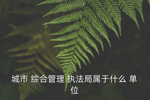 城市 綜合管理 執(zhí)法局屬于什么 單位