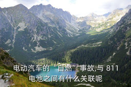 811事件,武漢歡樂谷811事件