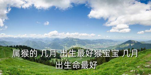 屬猴的 幾月 出生最好猴寶寶 幾月 出生命最好