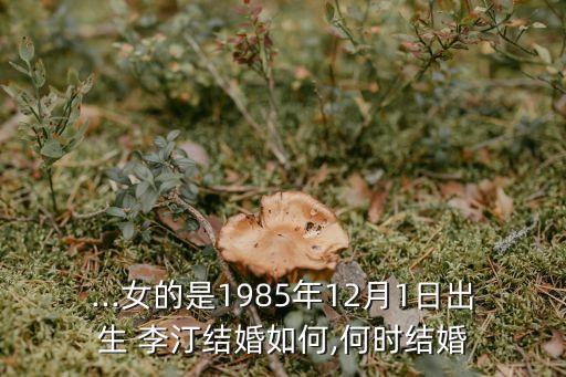 李汀,李渡1955老酒52度多少錢