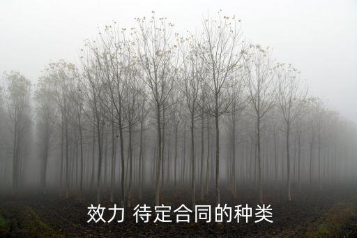  效力 待定合同的種類