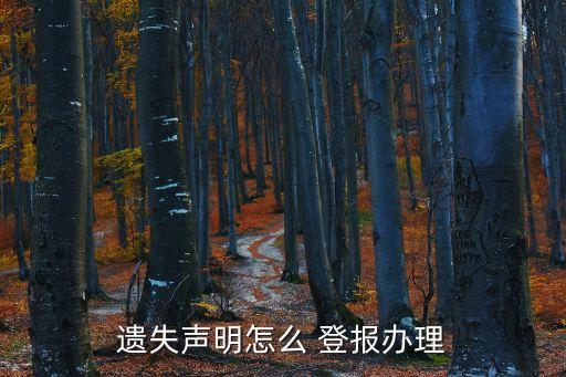 遺失聲明怎么 登報(bào)辦理