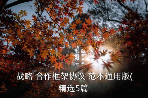 戰(zhàn)略合作伙伴協(xié)議書范本,國家之間戰(zhàn)略合作伙伴協(xié)議書