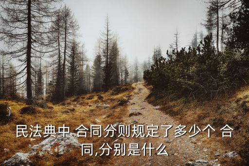 哪些合同只能選擇中國法律