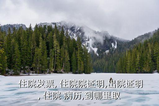 住院病歷怎么拿到,全國電子病歷系統(tǒng)查詢