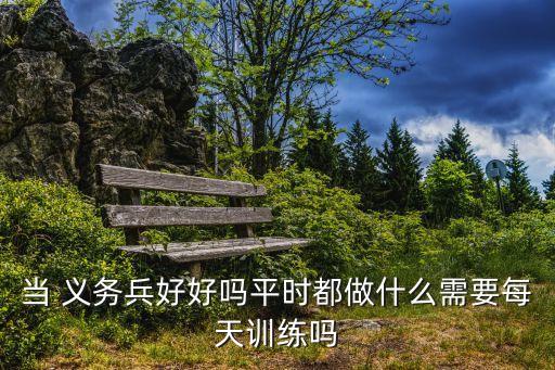 當 義務兵好好嗎平時都做什么需要每天訓練嗎