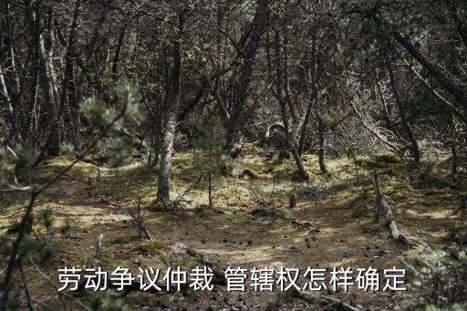 勞動爭議仲裁 管轄權(quán)怎樣確定