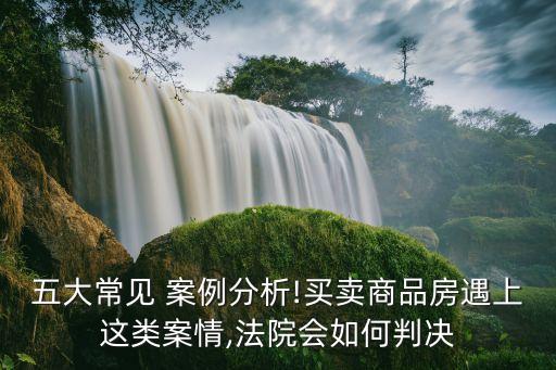 房產(chǎn)過戶糾紛案例,債權(quán)人撤銷權(quán)房產(chǎn)過戶案例