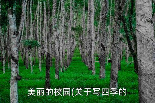 雙江小學(xué),峨山縣雙江小學(xué)