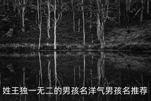 姓王獨一無二的男孩名洋氣男孩名推薦