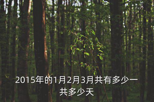2015年多少天