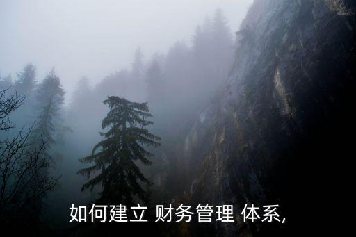 財務(wù)體系