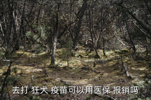狂犬疫苗怎么報(bào)銷,意外保險(xiǎn)打狂犬疫苗怎么報(bào)銷