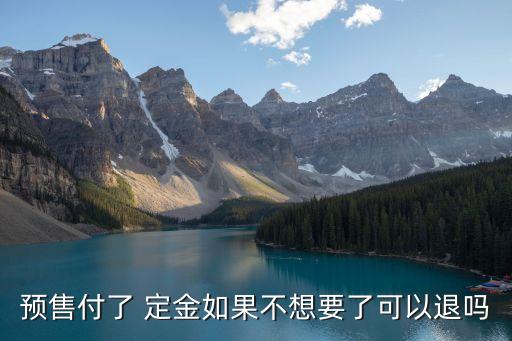 預(yù)售付了 定金如果不想要了可以退嗎