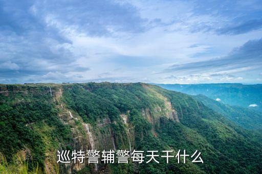 巡警是做什么的,特警招聘條件