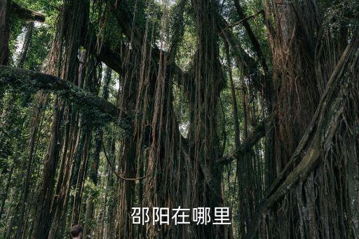  邵陽在哪里