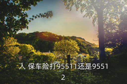 人 保車險打95511還是95512