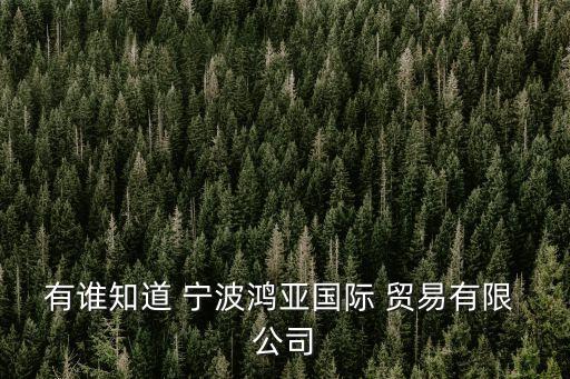 有誰(shuí)知道 寧波鴻亞國(guó)際 貿(mào)易有限 公司