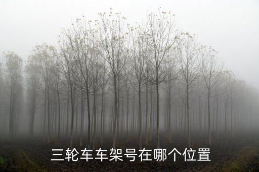  三輪車車架號在哪個位置