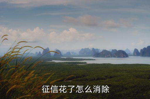 征信花了什么意思,借唄借了37次征信會花嗎