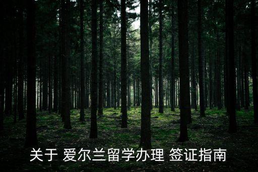 關(guān)于 愛爾蘭留學(xué)辦理 簽證指南