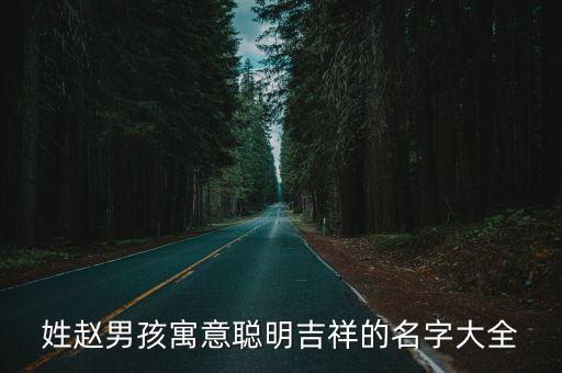 姓趙男孩寓意聰明吉祥的名字大全