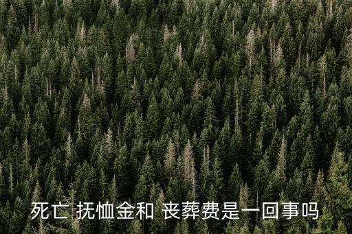 喪葬費(fèi)和撫恤金