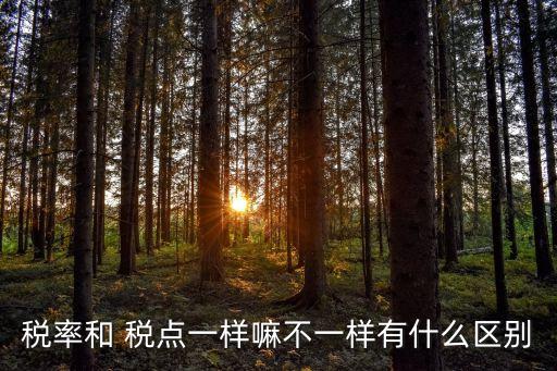 稅率和 稅點(diǎn)一樣嘛不一樣有什么區(qū)別