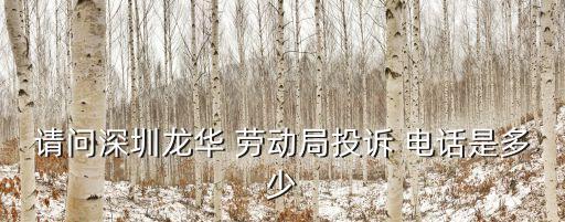 深圳市勞動監(jiān)察大隊電話,勞動監(jiān)察大隊24小時在線咨詢