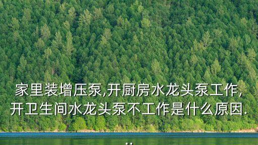 家里裝增壓泵,開廚房水龍頭泵工作,開衛(wèi)生間水龍頭泵不工作是什么原因...