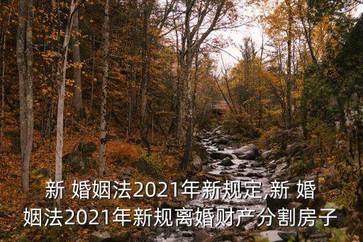 新 婚姻法2021年新規(guī)定,新 婚姻法2021年新規(guī)離婚財(cái)產(chǎn)分割房子