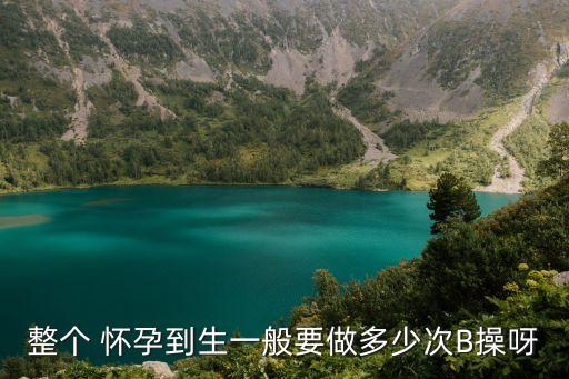 整個 懷孕到生一般要做多少次B操呀