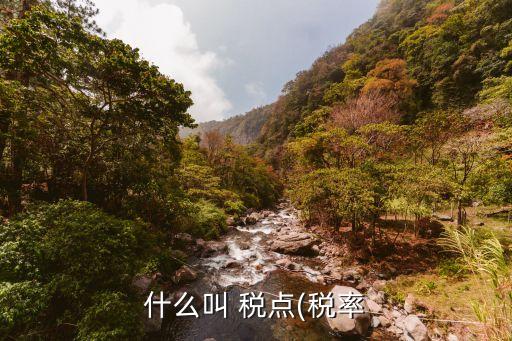 什么叫 稅點(diǎn)(稅率