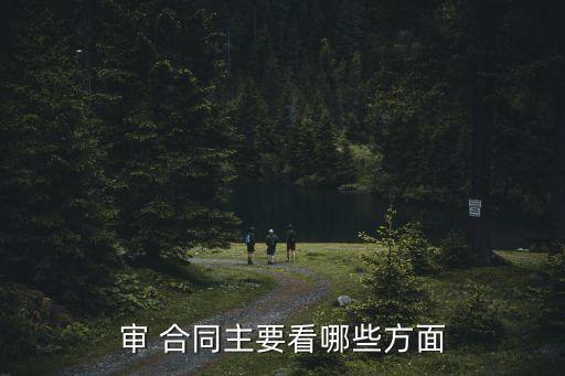 審 合同主要看哪些方面