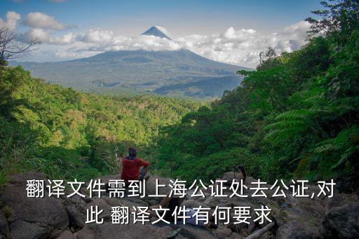  翻譯文件需到上海公證處去公證,對(duì)此 翻譯文件有何要求