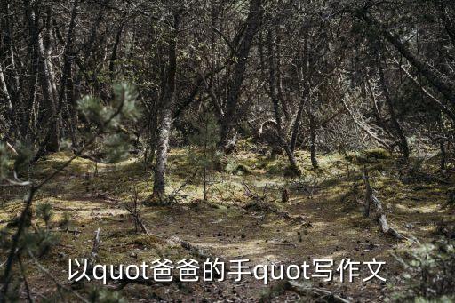 以quot爸爸的手quot寫作文