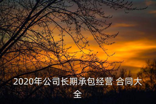 2020年公司長期承包經(jīng)營 合同大全